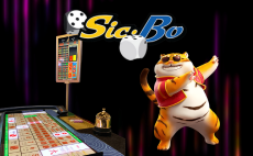 Sicbo Winning Odds: 50%